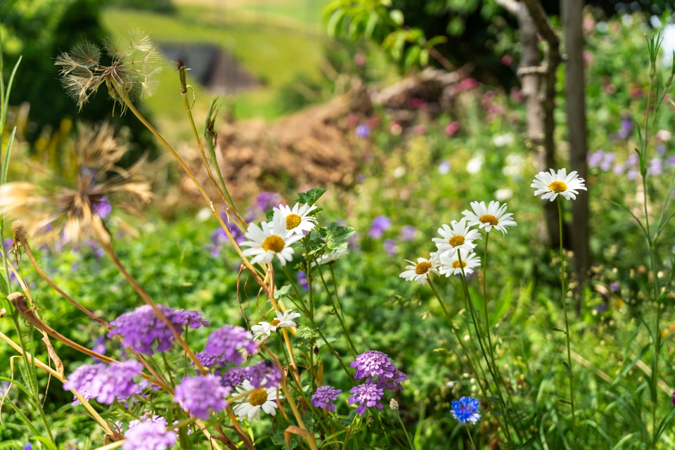 Gartenpflege Bern