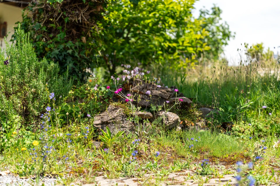 Gartenbewässerung Bern