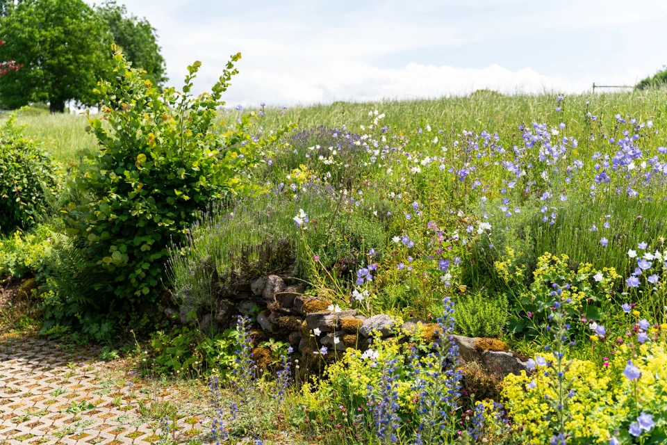 Gartenpflege Bern