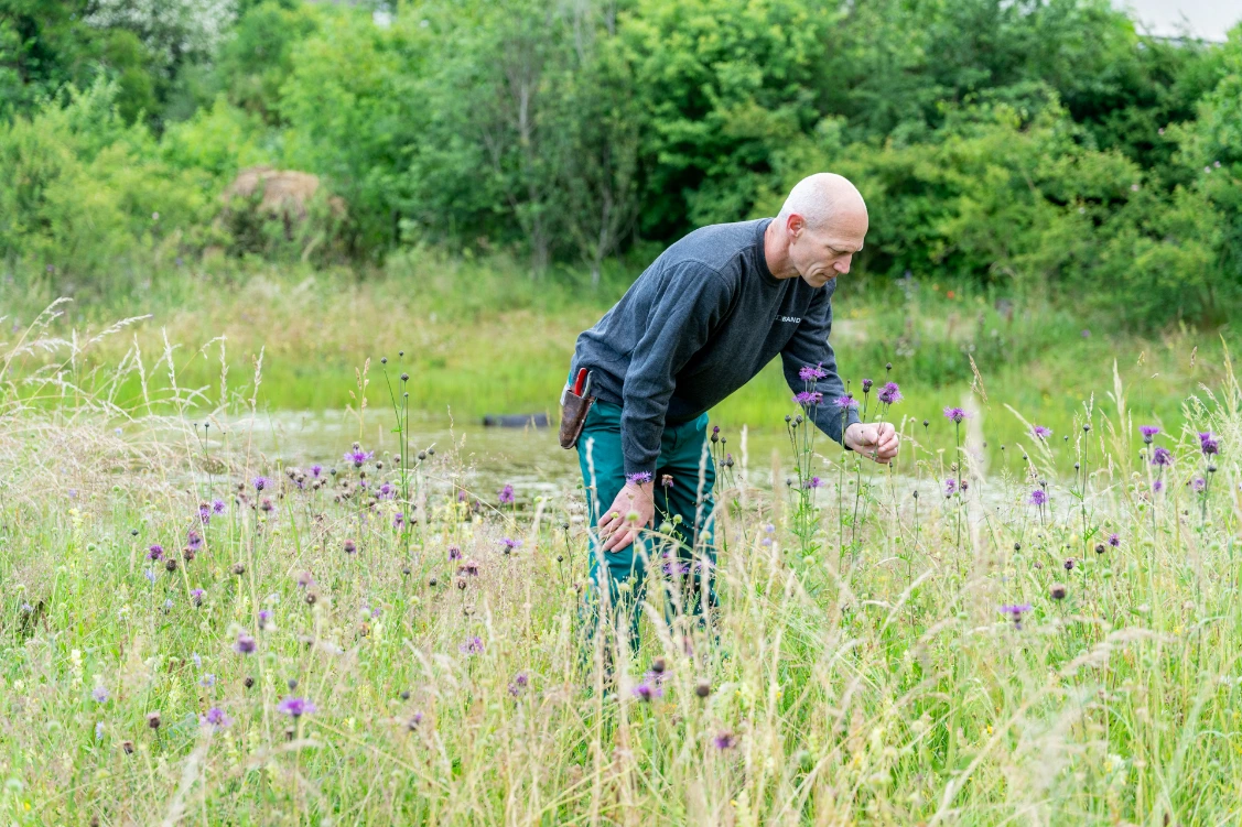 Gartenpflege