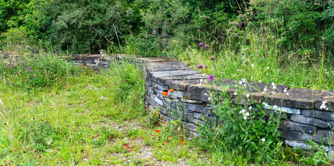 Gartenbau Bern